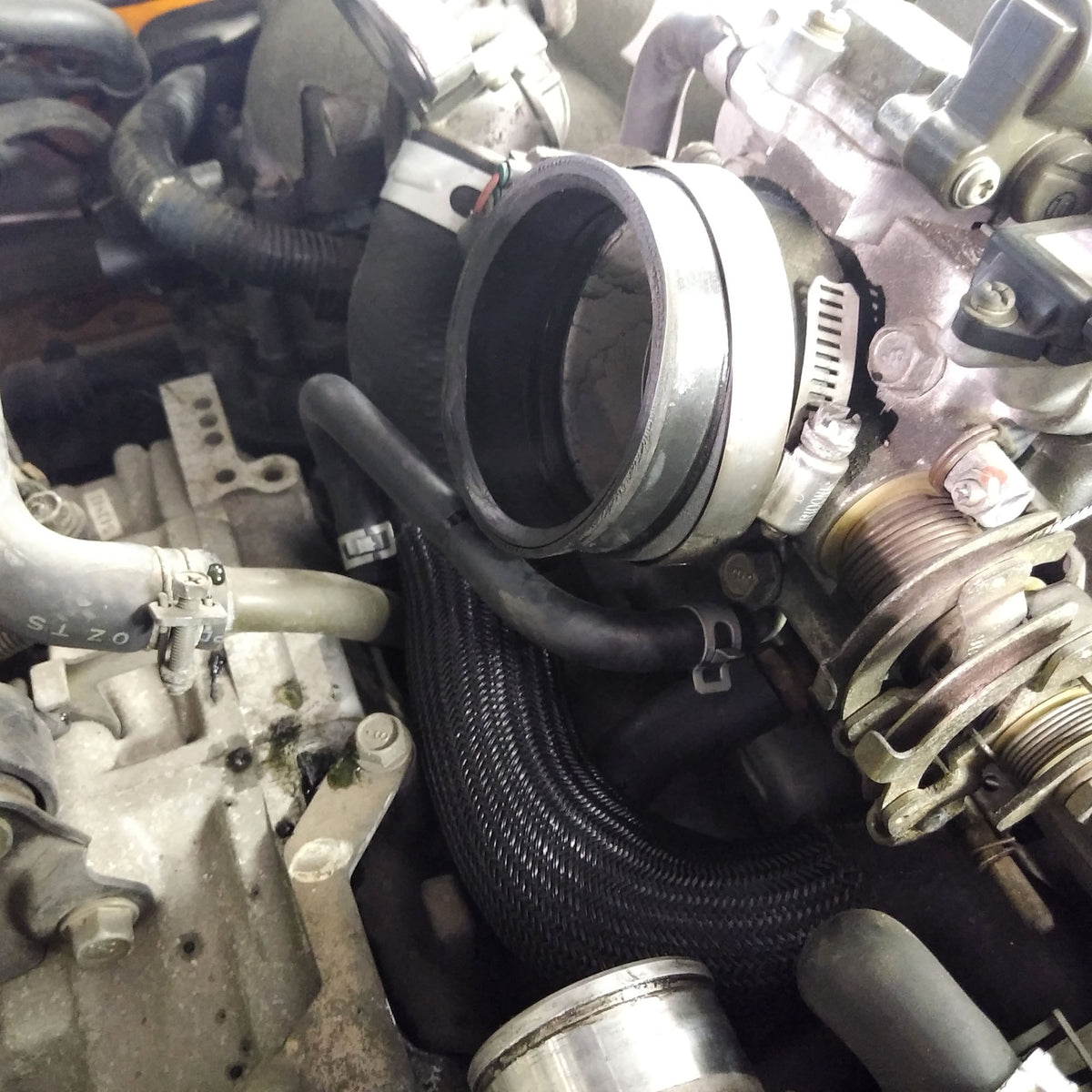 Subaru Throttle Body Heater Hoses 2002-2005 WRX