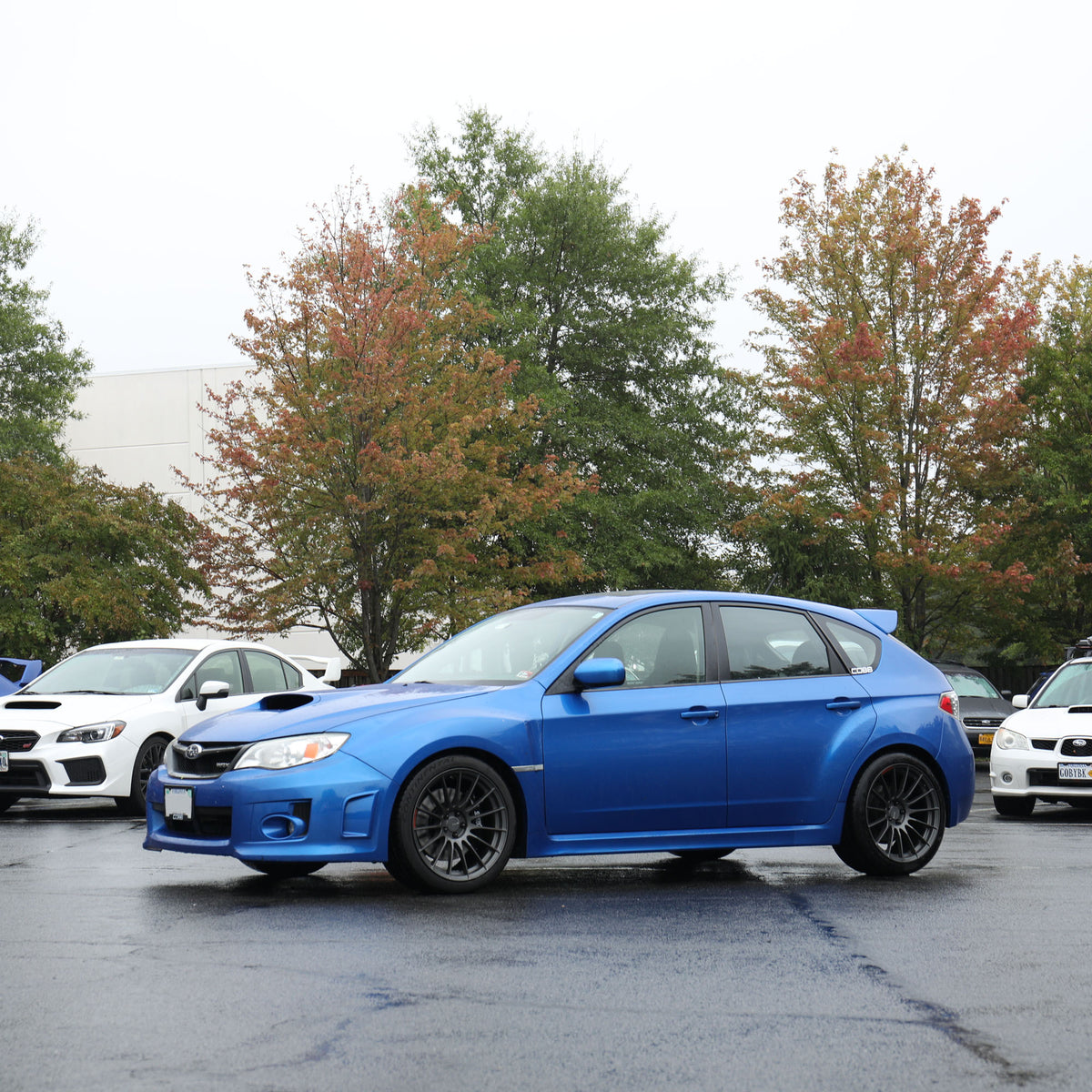 KYB Excel-G Suspension Overhaul Kit 2008-2014 WRX