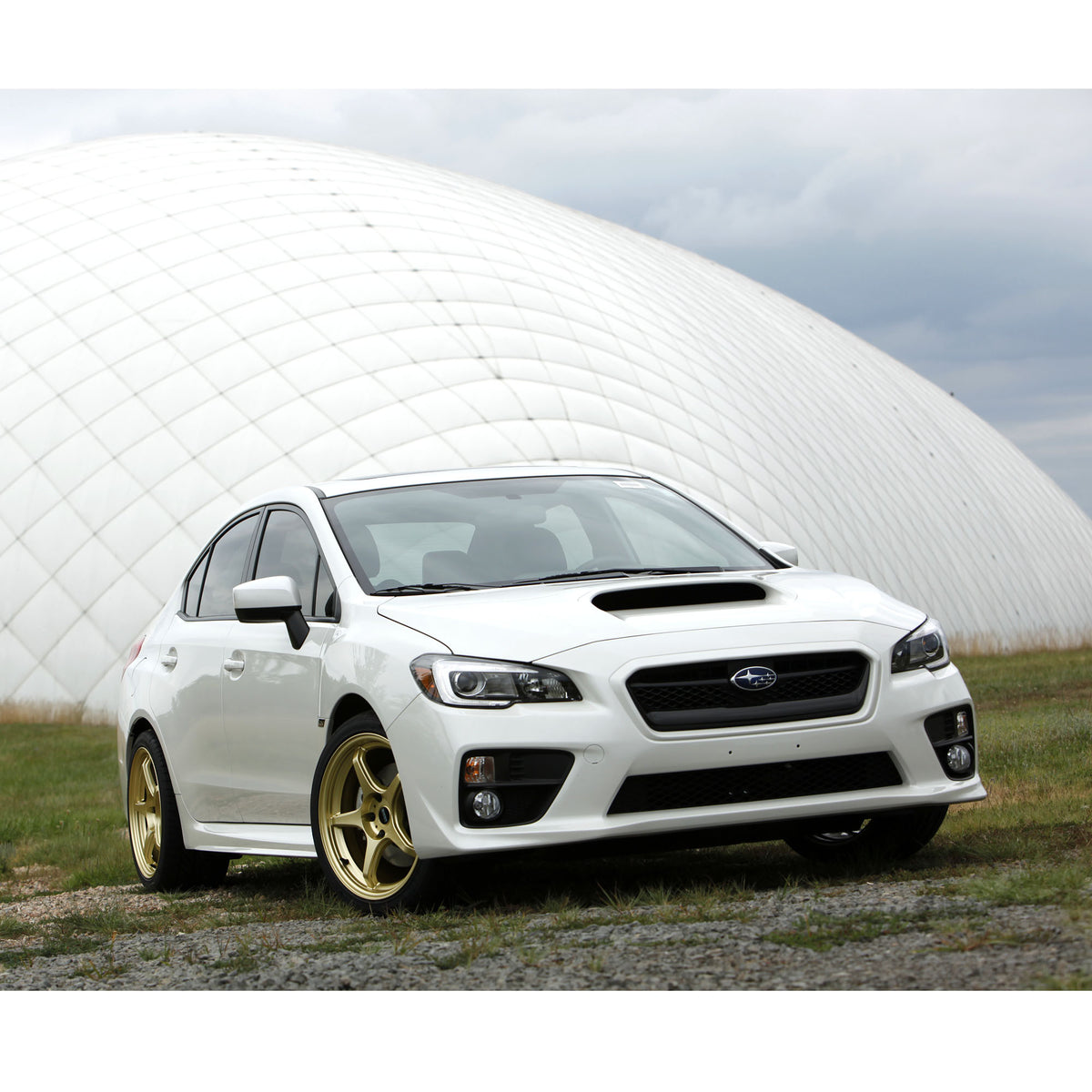 Gold Wicked Awesome wheels on 2015 WRX