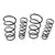 Subaru OEM Spec B Springs 2005-2009 Legacy Sedan