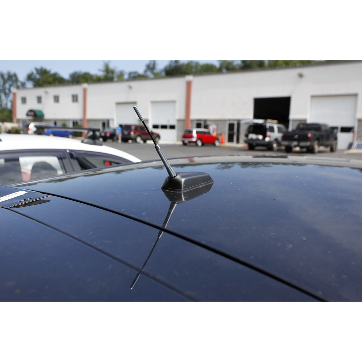 Brushed Aluminum Billet Antenna