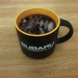 Blipshift 6-Speed Shifter Silicone Mold