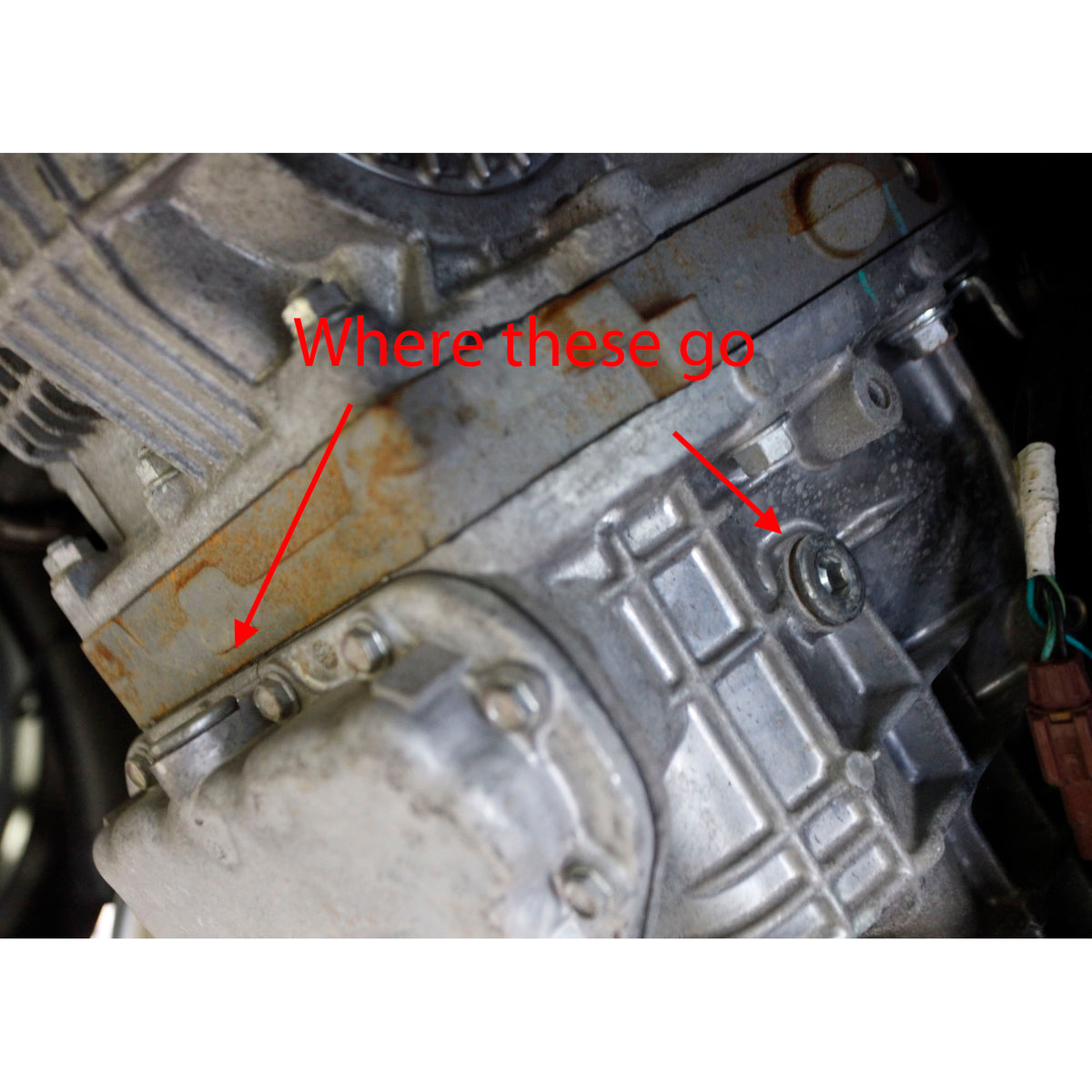 Subaru OEM Six-Speed Transmission Drain/Fill Plug 2008-2021 STI