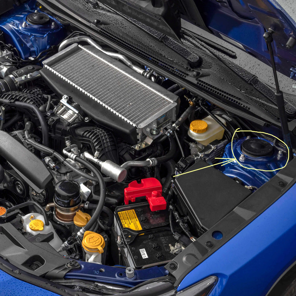 Subaru Strut Top Dust Cover 2022+ WRX/2019+ Forester