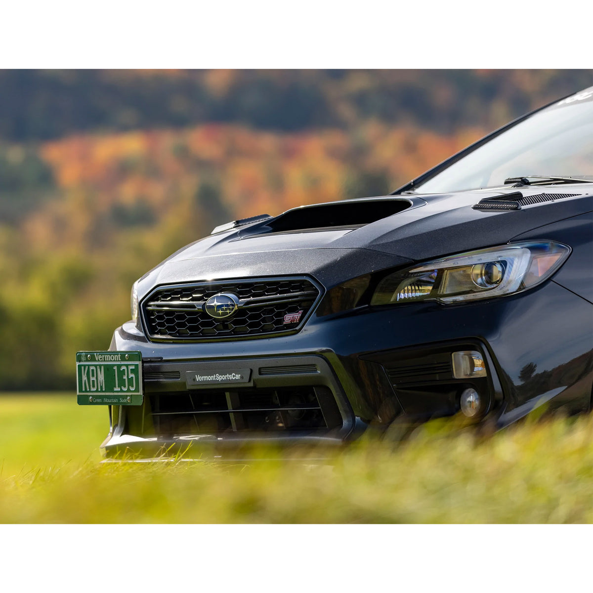 VSC License Plate Delete 2015-2021 WRX/STI