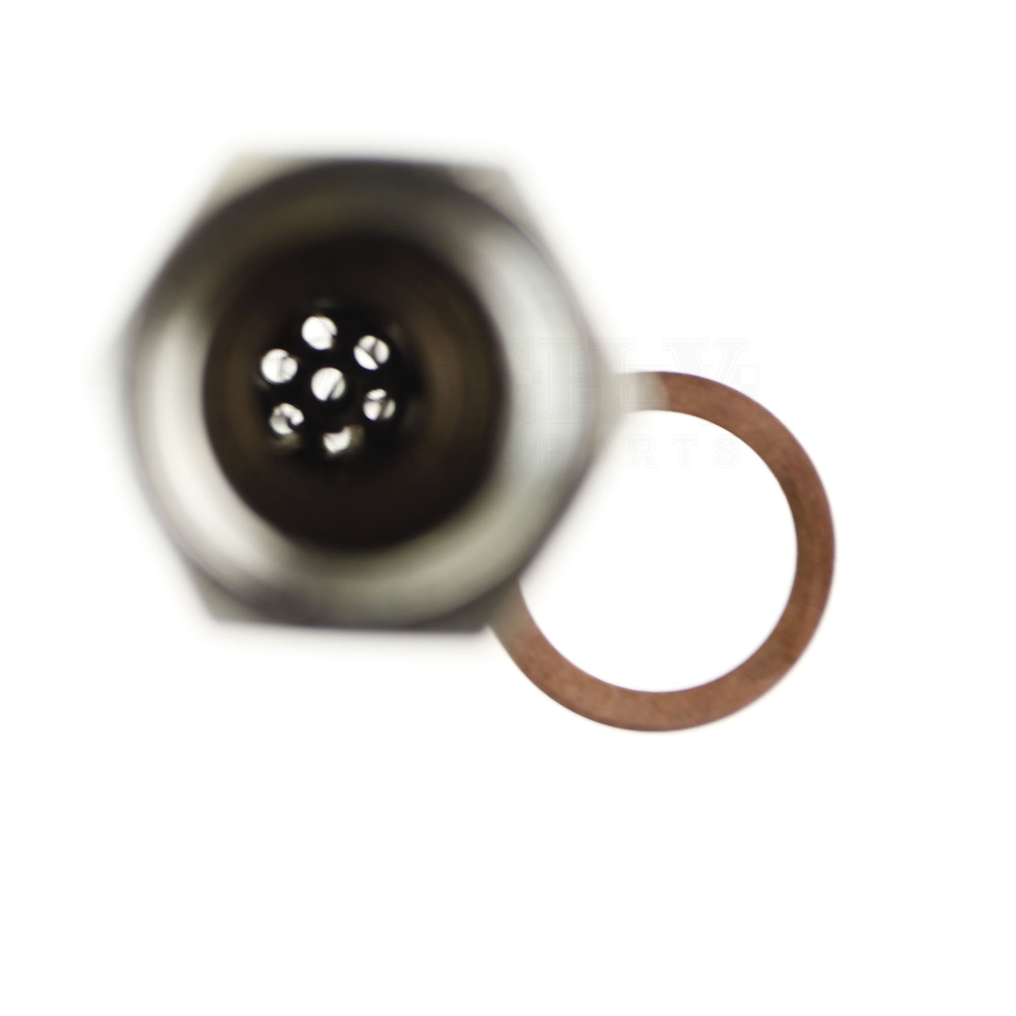 Oxygen Sensor Spacer with Cat